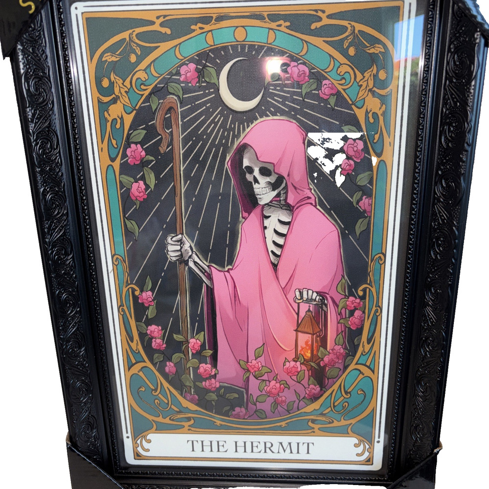 Sapna Shah "The Hermit" Skeleton Tarot Grim Reaper Art Black Ornate Frame New